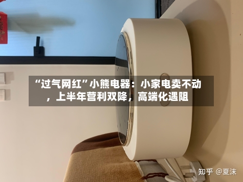 “过气网红	”小熊电器：小家电卖不动，上半年营利双降，高端化遇阻-第2张图片