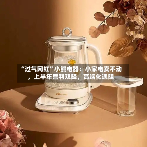 “过气网红”小熊电器：小家电卖不动，上半年营利双降，高端化遇阻