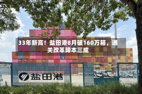33年新高！盐田港8月破160万箱	，通关改革降本三成-第2张图片