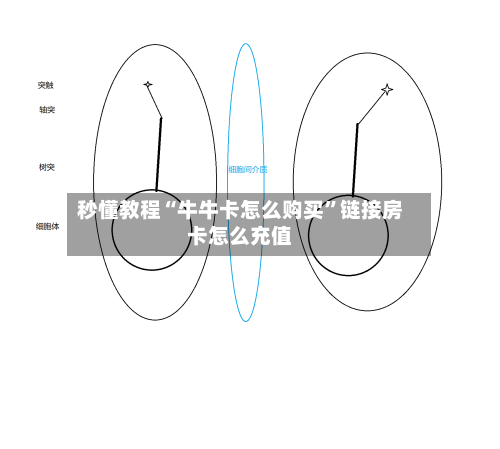 秒懂教程“牛牛卡怎么购买”链接房卡怎么充值