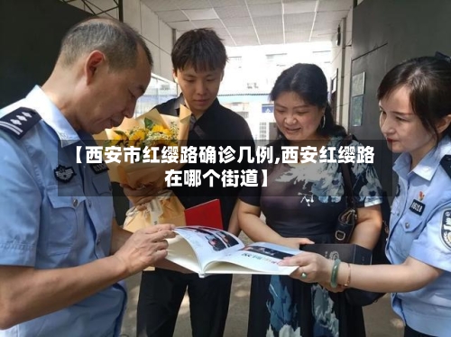 【西安市红缨路确诊几例,西安红缨路在哪个街道】-第2张图片