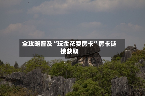 全攻略普及“玩金花卖房卡”房卡链接获取-第2张图片