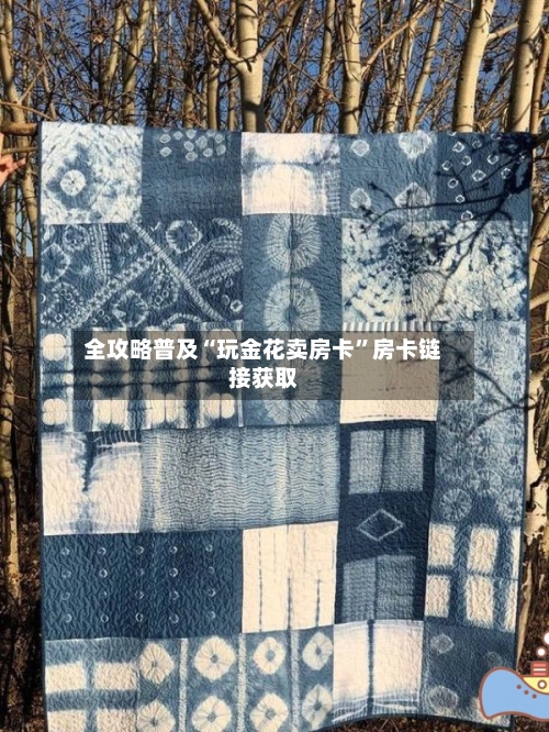 全攻略普及“玩金花卖房卡”房卡链接获取