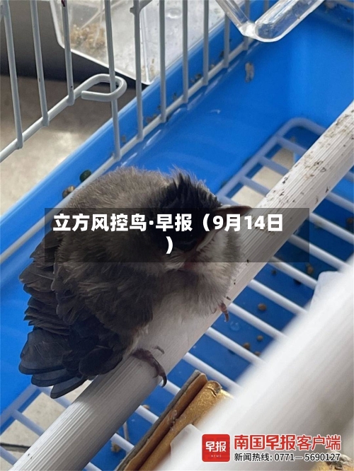 立方风控鸟·早报（9月14日）