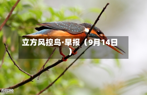 立方风控鸟·早报（9月14日）-第2张图片