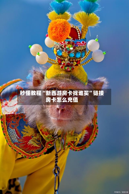 秒懂教程“新西游房卡找谁买”链接房卡怎么充值-第2张图片