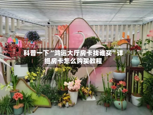 科普一下“鸿运大厅房卡找谁买”详细房卡怎么购买教程-第2张图片
