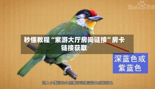 秒懂教程“紫游大厅房间链接”房卡链接获取