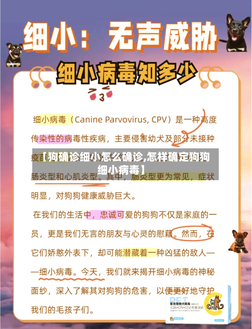 【狗确诊细小怎么确诊,怎样确定狗狗细小病毒】