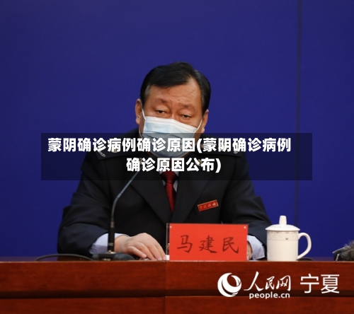 蒙阴确诊病例确诊原因(蒙阴确诊病例确诊原因公布)-第2张图片