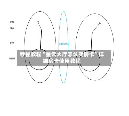 秒懂教程“星云大厅怎么买房卡”详细房卡使用教程