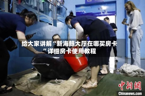 给大家讲解“新海鲸大厅在哪买房卡”详细房卡使用教程-第2张图片