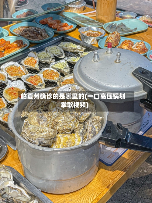 临夏州确诊的是哪里的(一口高压锅划拳歌视频)