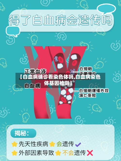 【白血病确诊看染色体吗,白血病染色体基因检测】-第2张图片