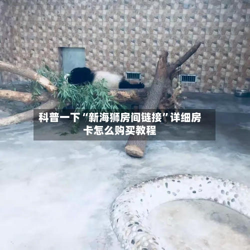 科普一下“新海狮房间链接”详细房卡怎么购买教程-第2张图片