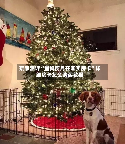 玩家测评“星狗揽月在哪买房卡”详细房卡怎么购买教程-第2张图片