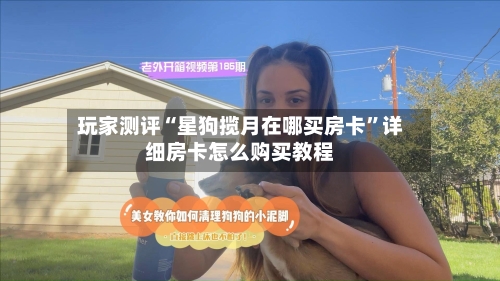 玩家测评“星狗揽月在哪买房卡”详细房卡怎么购买教程