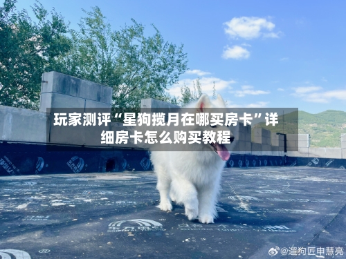 玩家测评“星狗揽月在哪买房卡”详细房卡怎么购买教程-第3张图片
