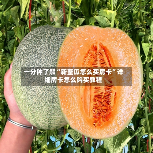一分钟了解“新蜜瓜怎么买房卡	”详细房卡怎么购买教程-第3张图片