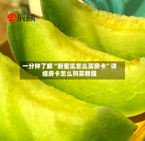 一分钟了解“新蜜瓜怎么买房卡”详细房卡怎么购买教程-第2张图片