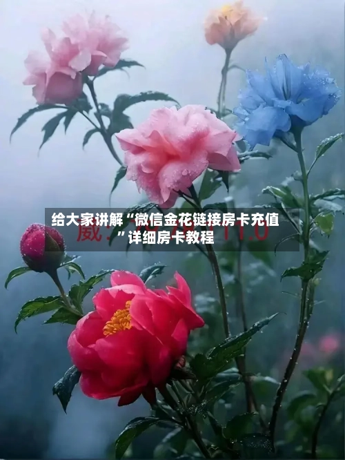 给大家讲解“微信金花链接房卡充值”详细房卡教程-第2张图片
