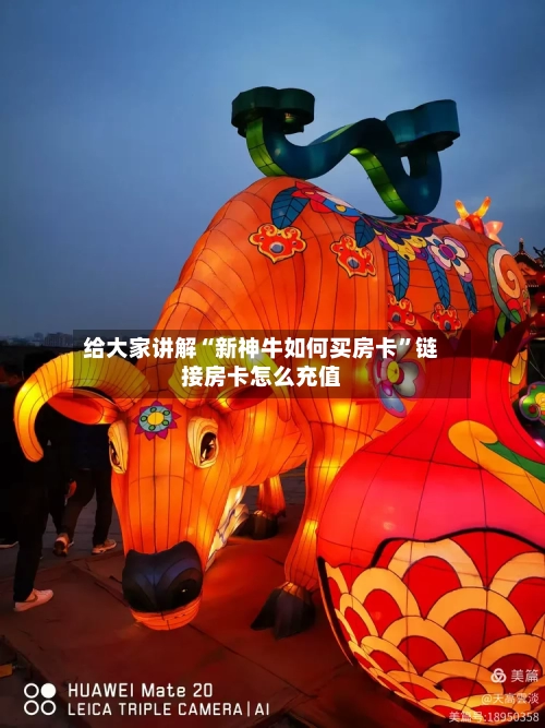 给大家讲解“新神牛如何买房卡”链接房卡怎么充值-第2张图片