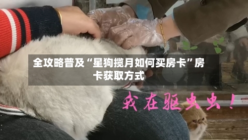 全攻略普及“星狗揽月如何买房卡”房卡获取方式-第3张图片