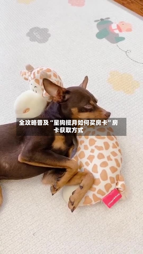 全攻略普及“星狗揽月如何买房卡”房卡获取方式-第2张图片