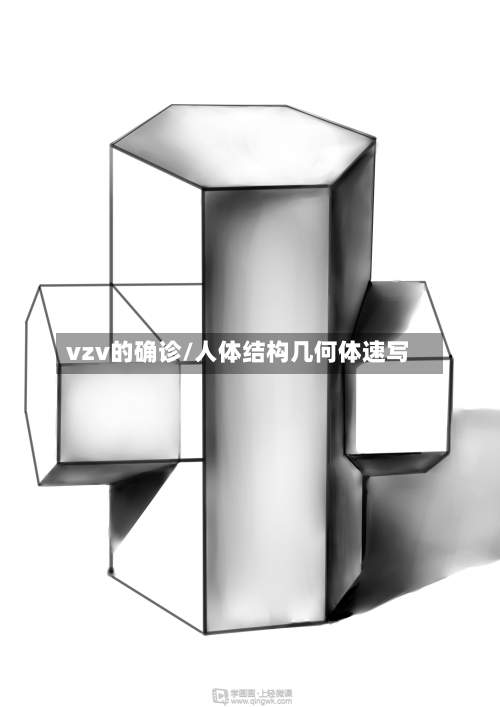 vzv的确诊/人体结构几何体速写