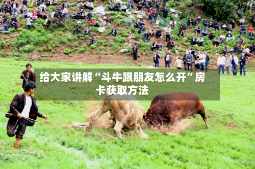 给大家讲解“斗牛跟朋友怎么开	”房卡获取方法-第2张图片