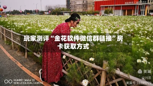 玩家测评“金花软件微信群链接”房卡获取方式-第2张图片