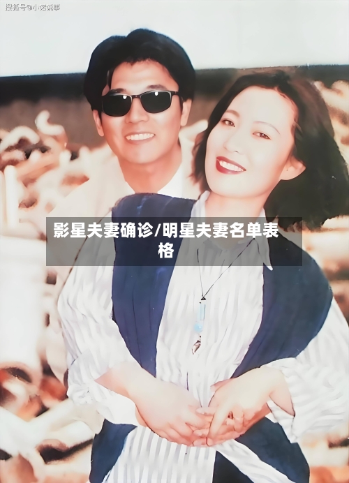 影星夫妻确诊/明星夫妻名单表格-第3张图片
