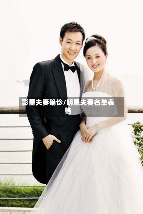 影星夫妻确诊/明星夫妻名单表格-第2张图片