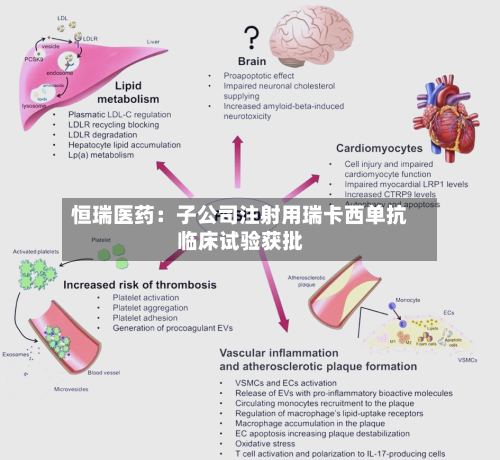 恒瑞医药：子公司注射用瑞卡西单抗临床试验获批