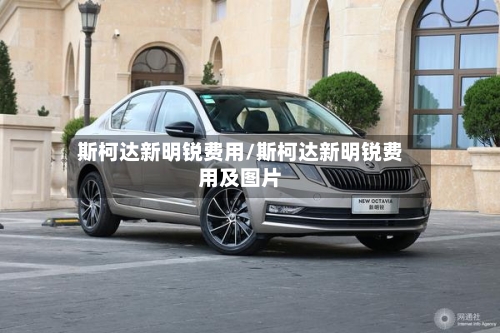 斯柯达新明锐费用/斯柯达新明锐费用及图片-第2张图片