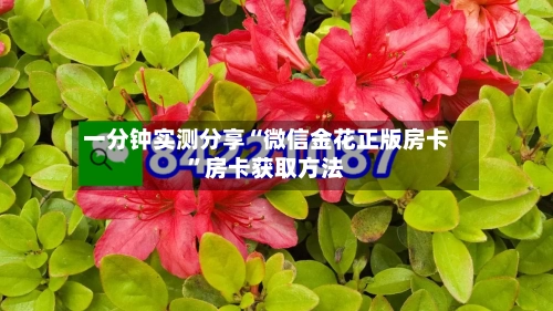 一分钟实测分享“微信金花正版房卡”房卡获取方法-第2张图片
