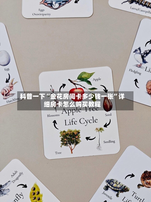 科普一下“金花房间卡多少钱一张”详细房卡怎么购买教程-第2张图片