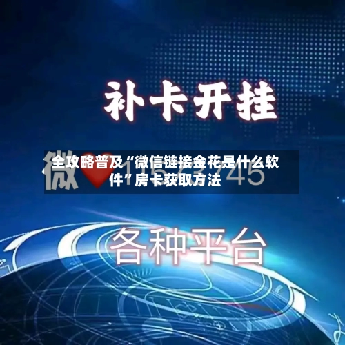全攻略普及“微信链接金花是什么软件”房卡获取方法-第2张图片