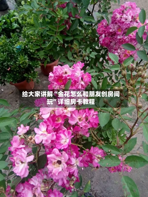 给大家讲解“金花怎么和朋友创房间玩”详细房卡教程-第2张图片