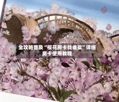 全攻略普及“樱花房卡找谁买	”详细房卡使用教程-第2张图片