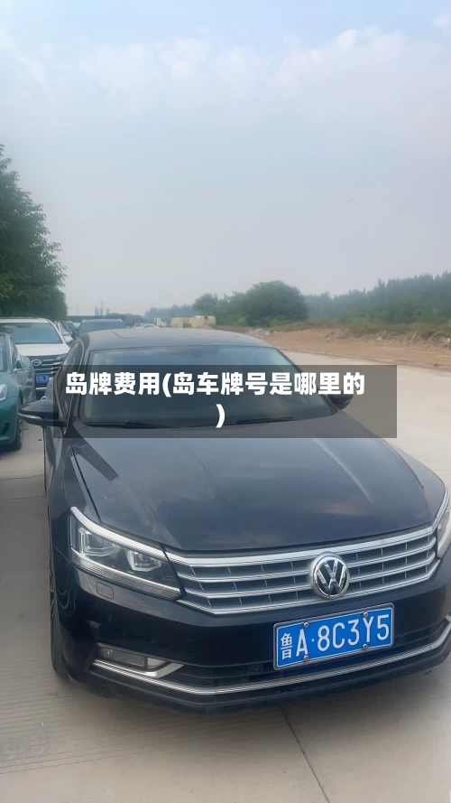 岛牌费用(岛车牌号是哪里的)-第2张图片