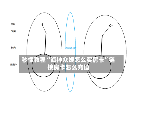秒懂教程“海神众娱怎么买房卡	”链接房卡怎么充值-第2张图片