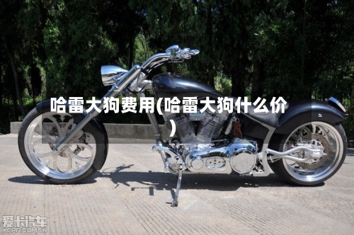 哈雷大狗费用(哈雷大狗什么价)-第3张图片