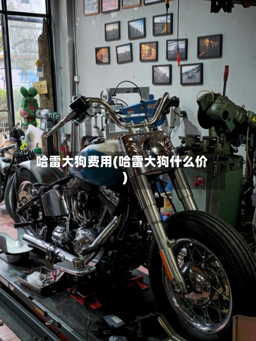 哈雷大狗费用(哈雷大狗什么价)