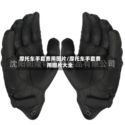 摩托车手套费用图片/摩托车手套费用图片大全-第2张图片