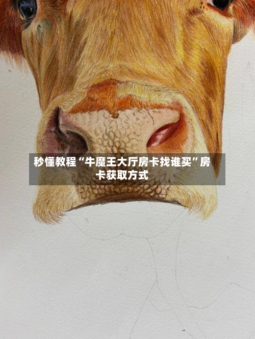 秒懂教程“牛魔王大厅房卡找谁买”房卡获取方式