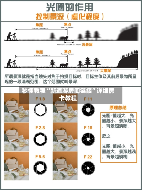 秒懂教程“新道游房间链接”详细房卡教程-第3张图片