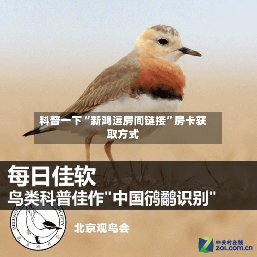 科普一下“新鸿运房间链接”房卡获取方式-第2张图片