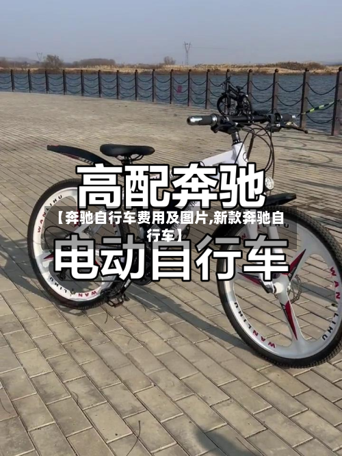 【奔驰自行车费用及图片,新款奔驰自行车】-第3张图片