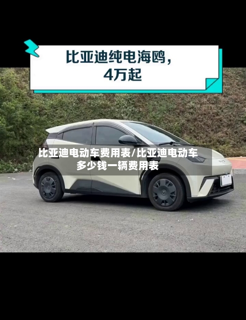 比亚迪电动车费用表/比亚迪电动车多少钱一辆费用表